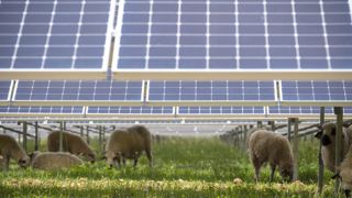 La FFPA défend une vision collective de l’agrivoltaïsme La FFPA défend une vision collective de l’agrivoltaïsme
