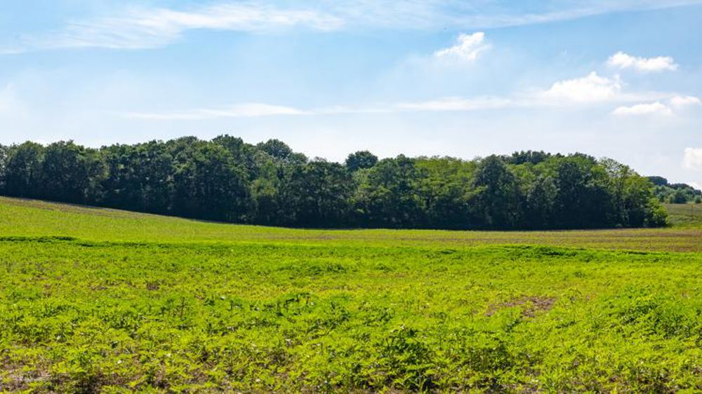 Météo-France prévoit un printemps plus chaud que d’habitude