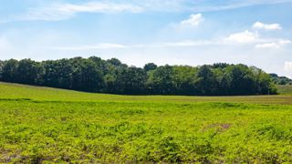 Météo-France prévoit un printemps plus chaud que d’habitude Météo-France prévoit un printemps plus chaud que d’habitude