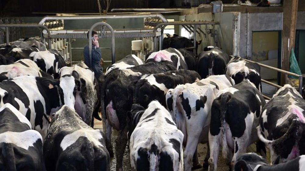 Mention passable pour la hausse du prix du lait