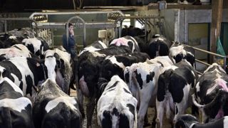 Mention passable pour la hausse du prix du lait Mention passable pour la hausse du prix du lait