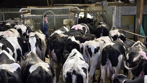 Mention passable pour la hausse du prix du lait Mention passable pour la hausse du prix du lait