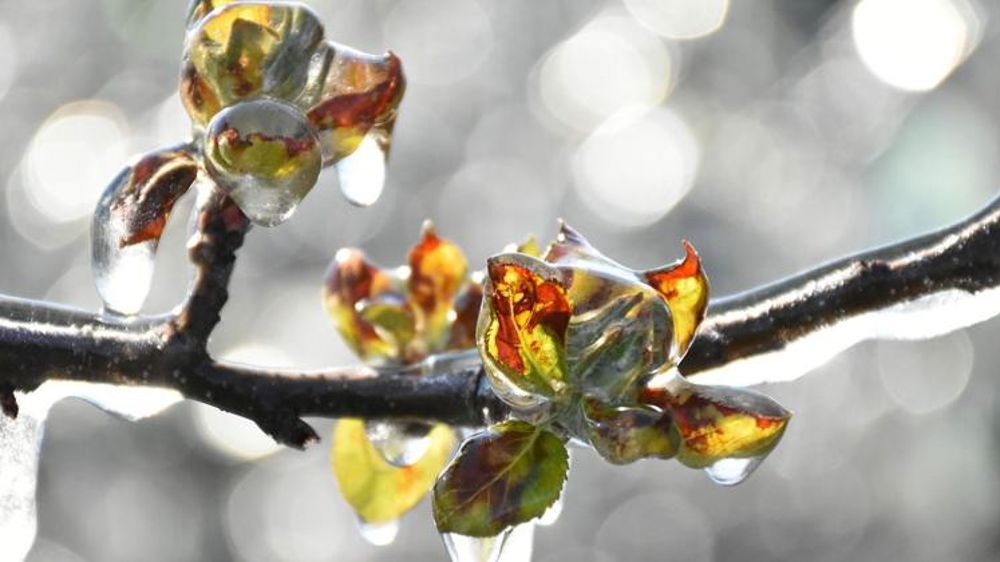 Déposez vos demandes d’indemnisation supplémentaire