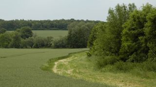 Les exigences environnementales de la future Pac « au ras des pâquerettes » Les exigences environnementales de la future Pac « au ras des pâquerettes »