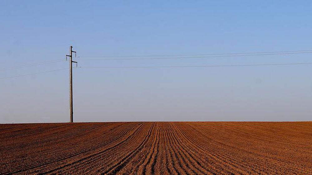 Quatre conseils en cas de contact avec le réseau électrique