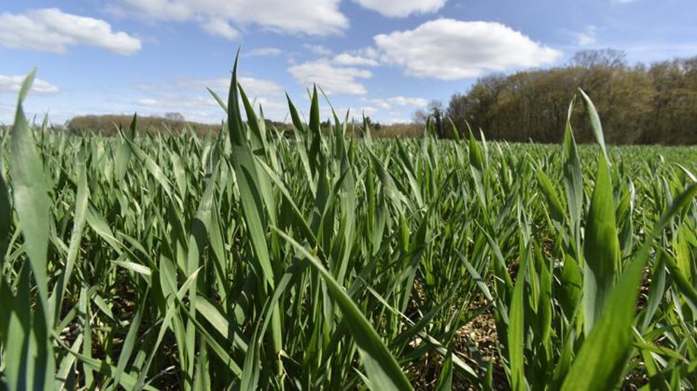 Une calculette pour estimer l’impact de ses charges