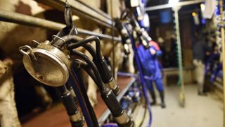Le prix du lait européen poursuit son ascension Le prix du lait européen poursuit son ascension