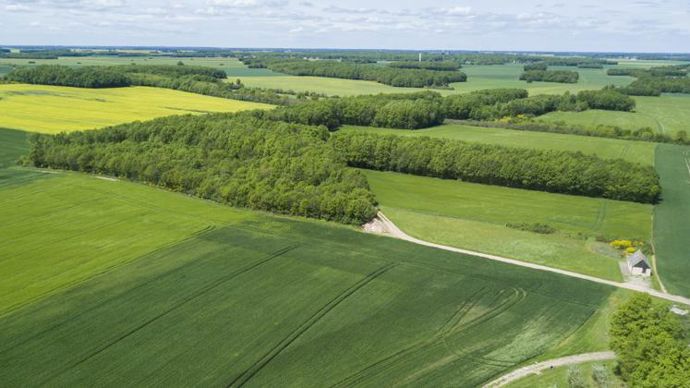 Police De L’environnement : La Coordination Rurale Ouvre Le Dialogue ...