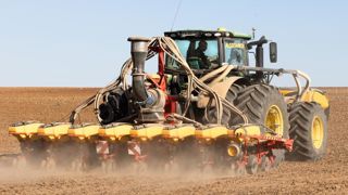 Le tournesol et le soja gagnent du terrain face au maïs Le tournesol et le soja gagnent du terrain face au maïs