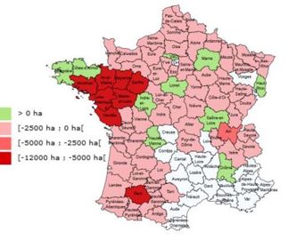 Évolution des surfaces de maïs grain, hors semences, entre 2022 et 2021. (Source : Agreste)