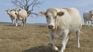 La sécheresse s’annonçait déjà en avril La sécheresse s’annonçait déjà en avril