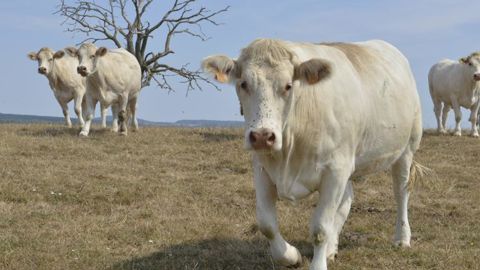 La sécheresse s’annonçait déjà en avril La sécheresse s’annonçait déjà en avril