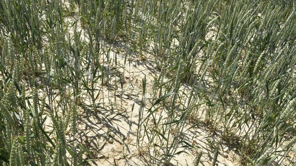 Le gouvernement « ne laissera pas tomber les agriculteurs »