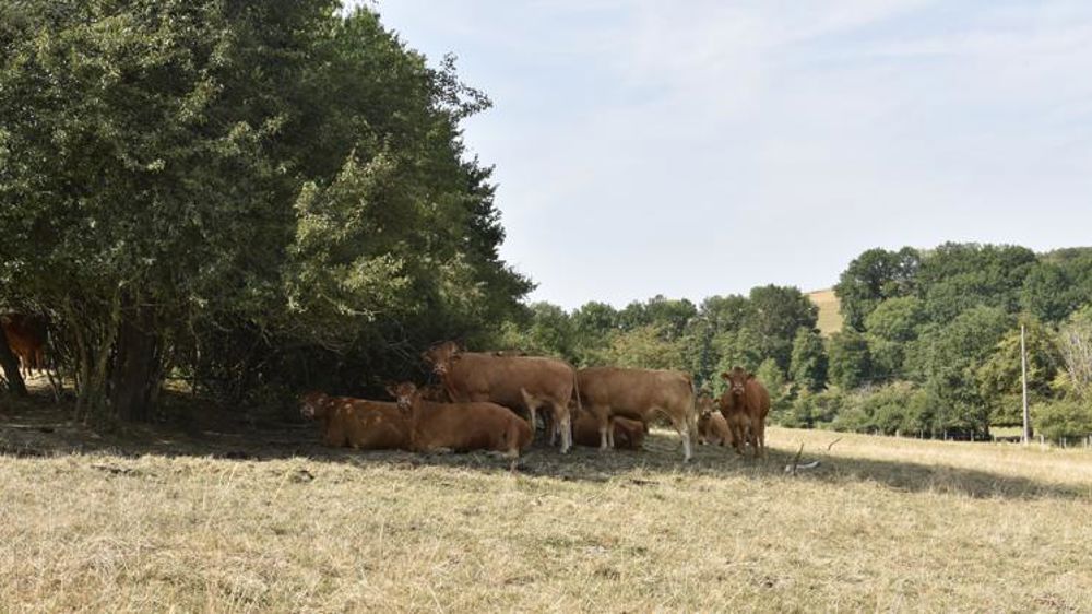 Une semaine entre chaleur et sécheresse
