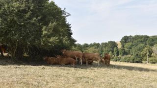 Une semaine entre chaleur et sécheresse Une semaine entre chaleur et sécheresse