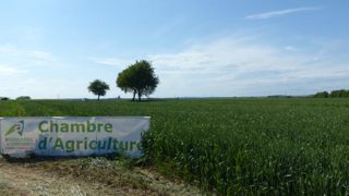 Les chambres d’agriculture rendent accessible la réglementation Les chambres d’agriculture rendent accessible la réglementation