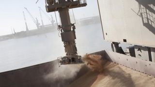 Les céréales et le colza terminent la semaine en baisse Les céréales et le colza terminent la semaine en baisse