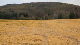 Une agence européenne ne classe pas le glyphosate comme cancérogène Une agence européenne ne classe pas le glyphosate comme cancérogène