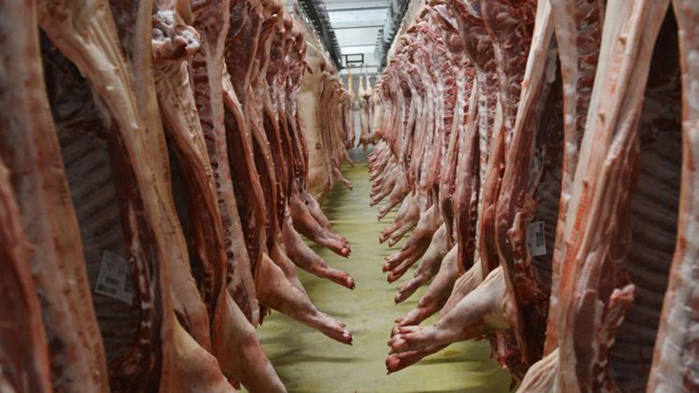 Les éleveurs de porcs dans une situation « dramatique »