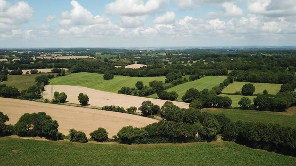 Pour des associations, produire plus n’est pas la réponse à la crise