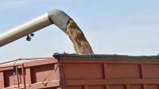 La sécheresse fait grimper les prix du blé et de l’orge La sécheresse fait grimper les prix du blé et de l’orge