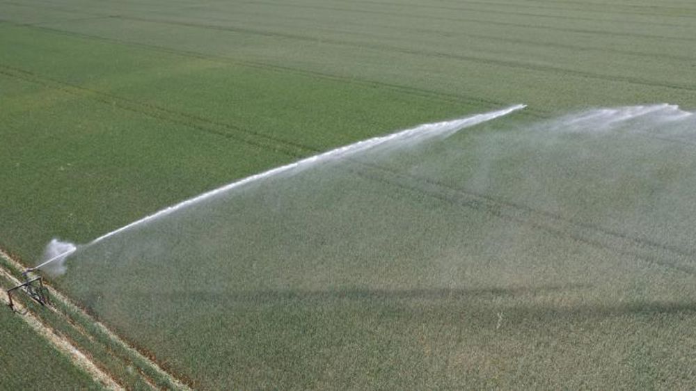 Le CGAAER recense les pratiques économes en eau