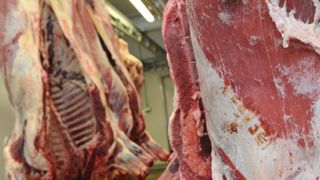 L’abattage rituel divise la région de Bruxelles L’abattage rituel divise la région de Bruxelles