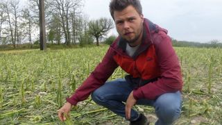 « La grêle a tout haché sur 160 hectares, il ne reste rien » « La grêle a tout haché sur 160 hectares, il ne reste rien »