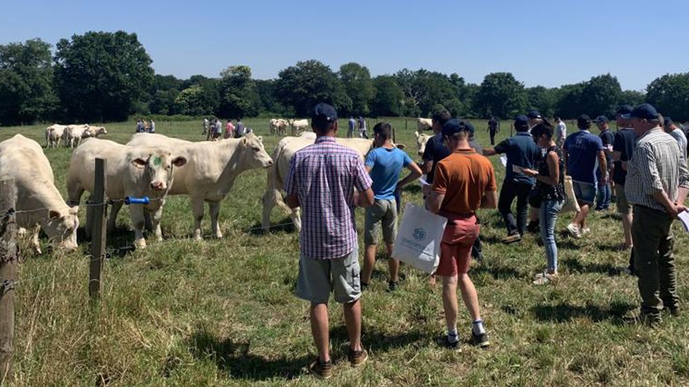 La vente en ligne de reproducteurs fait son chemin chez Gènes Diffusion