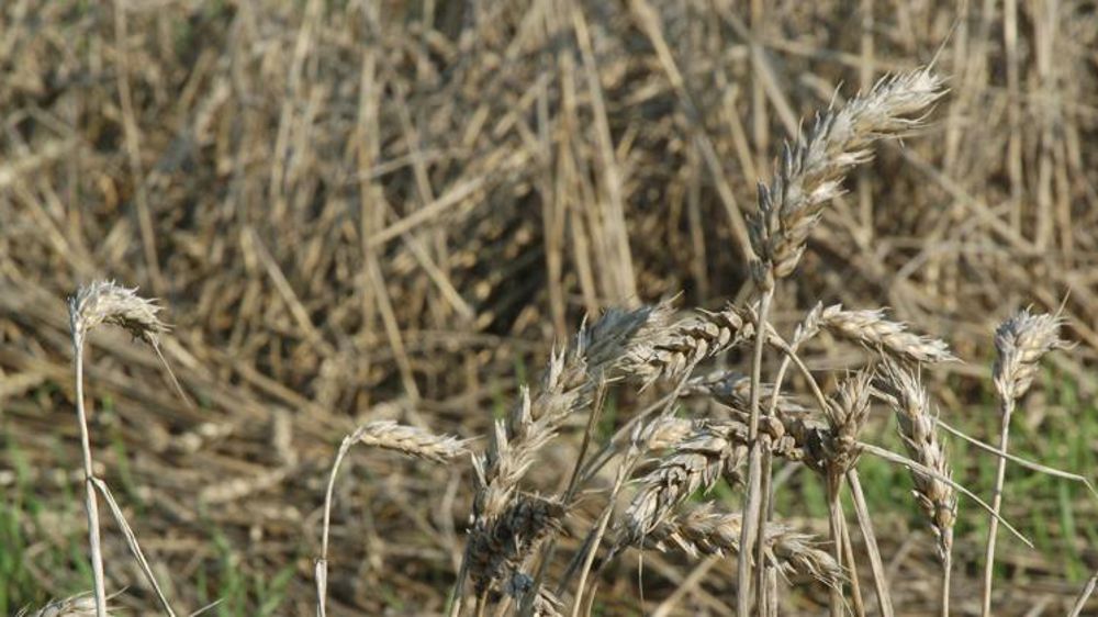 Les orages du début de juin vont coûter 70 millions d’euros