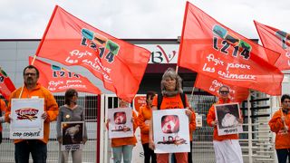 Des militants de L214 manifestent devant une usine Doux Des militants de L214 manifestent devant une usine Doux