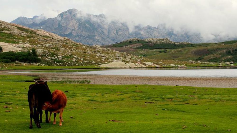 100 000 hectares de terres agricoles désanctuarisés