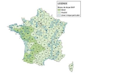 Carte de répartition de risque lié à l’influenza aviaire hautement pathogène en France, le 10 mai 2022. Ministère de l’Agriculture (en vert foncé, les départements à risque élevé).