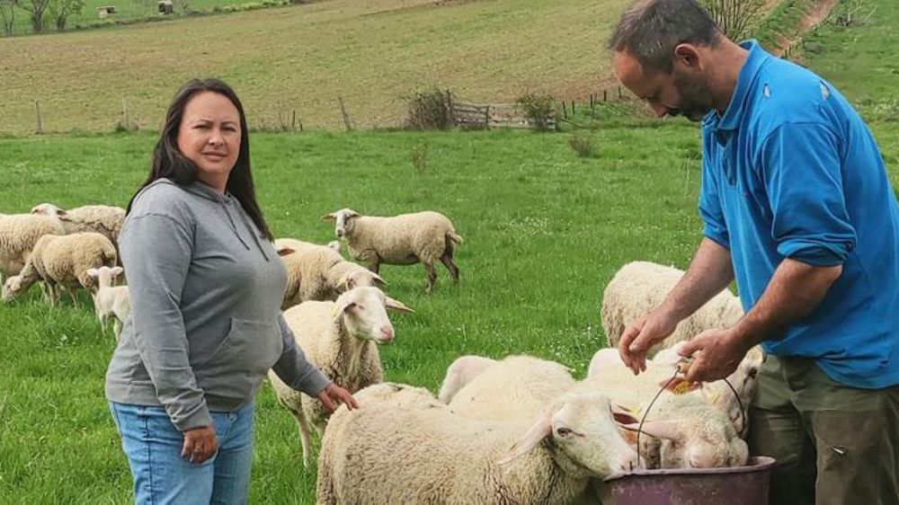 Accompagner les transitions