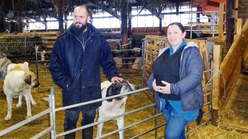 Au rythme des brebis et des saisons