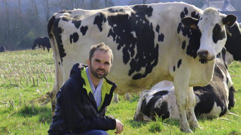 Faire pâturer ses vaches laitières au bon stade
