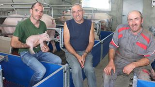 Adopter un système mixte porcins et bovins laitiers Adopter un système mixte porcins et bovins laitiers