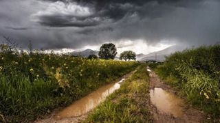 Un temps plus doux mais plus perturbé cette semaine Un temps plus doux mais plus perturbé cette semaine