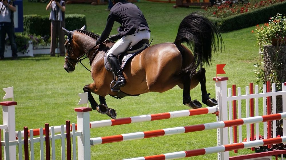 Circonscrire un foyer de rhinopneumonie