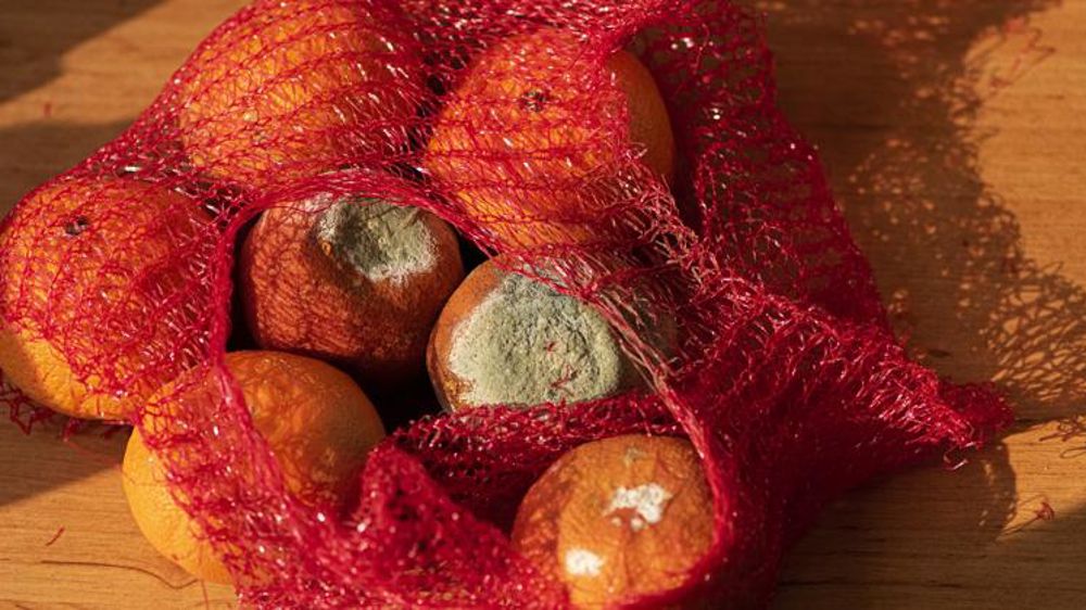 Près de 20 % de la nourriture dans le monde est gaspillée