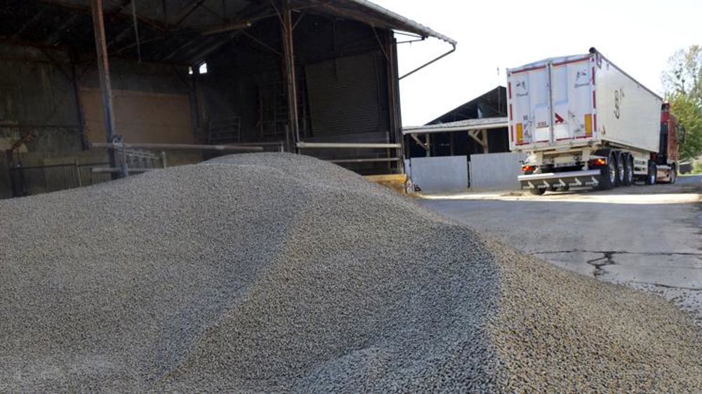 Les tourteaux de colza sont encore plus riches en protéines