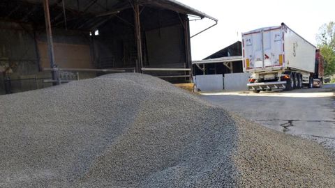 Les tourteaux de colza sont encore plus riches en protéines Les tourteaux de colza sont encore plus riches en protéines