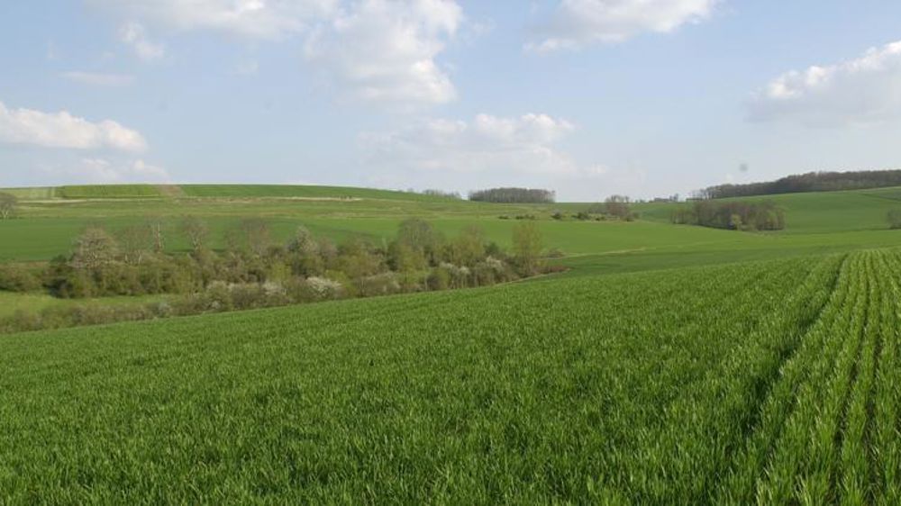 Un « bon début de printemps » pour les cultures européennes