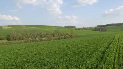 Un « bon début de printemps » pour les cultures européennes Un « bon début de printemps » pour les cultures européennes