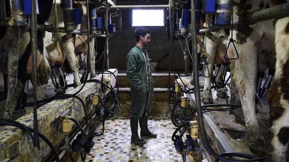 Le prix du lait européen passe sous les 350 €/1 000 litres en janvier