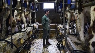 Le prix du lait européen passe sous les 350 €/1 000 litres en janvier Le prix du lait européen passe sous les 350 €/1 000 litres en janvier