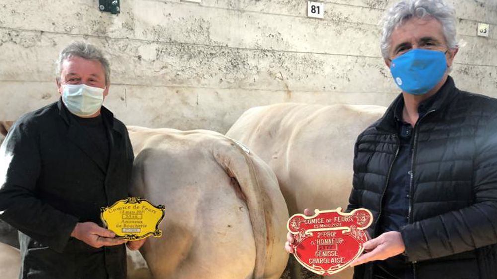 Il retire la viande du menu, on lui offre une charolaise