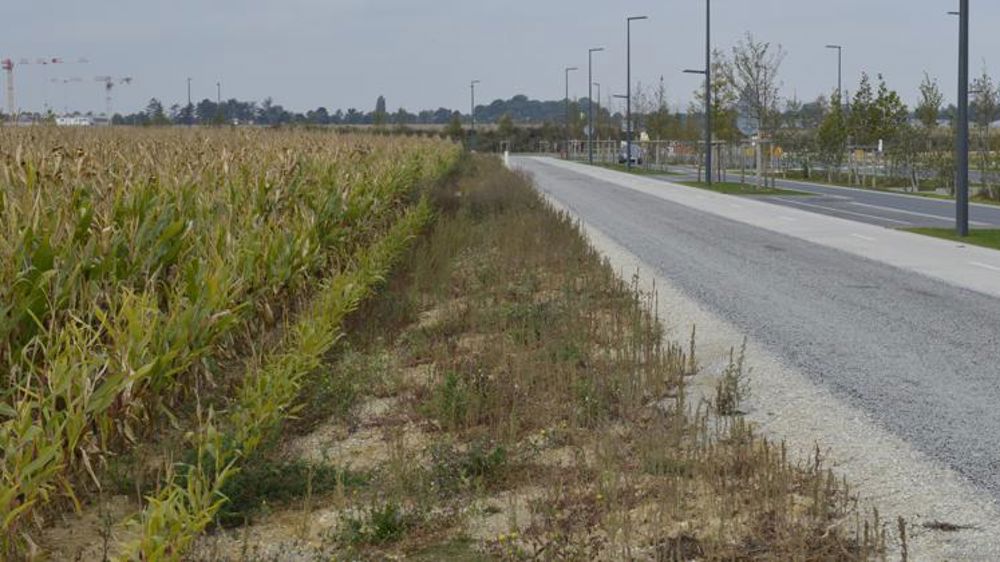 Les députés taclent les nouvelles grandes surfaces commerciales