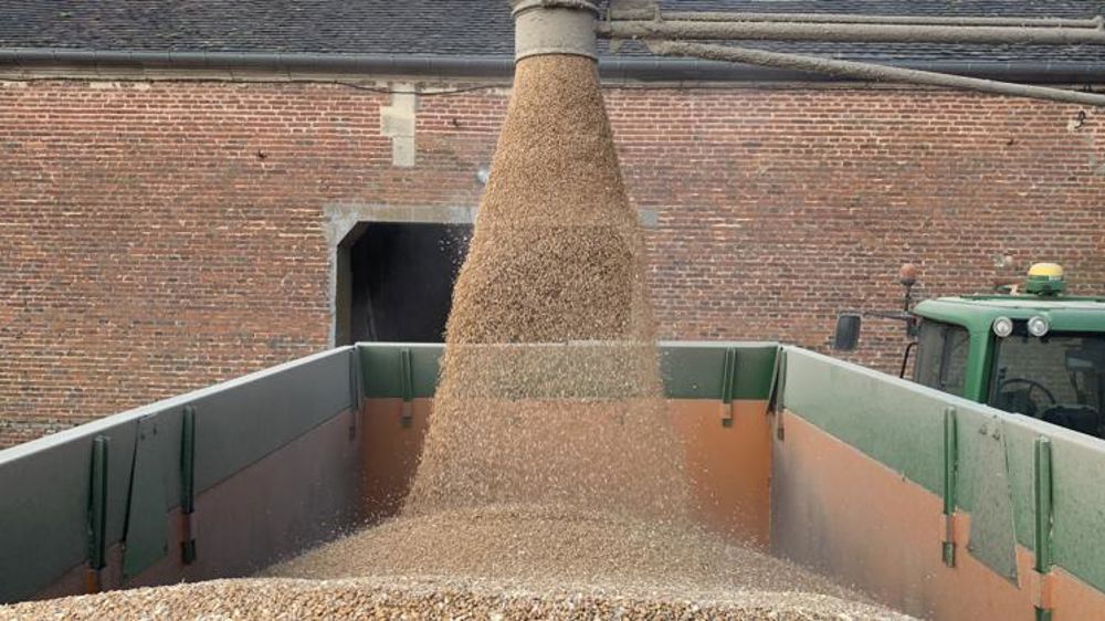 Correction baissière, même pour le colza