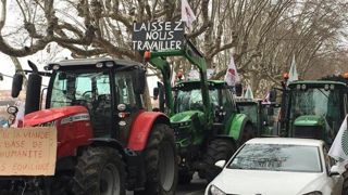 Les éleveurs bovins français sont inquiets pour leur « survie » Les éleveurs bovins français sont inquiets pour leur « survie »